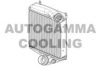 AUTOGAMMA 107556 Intercooler, charger